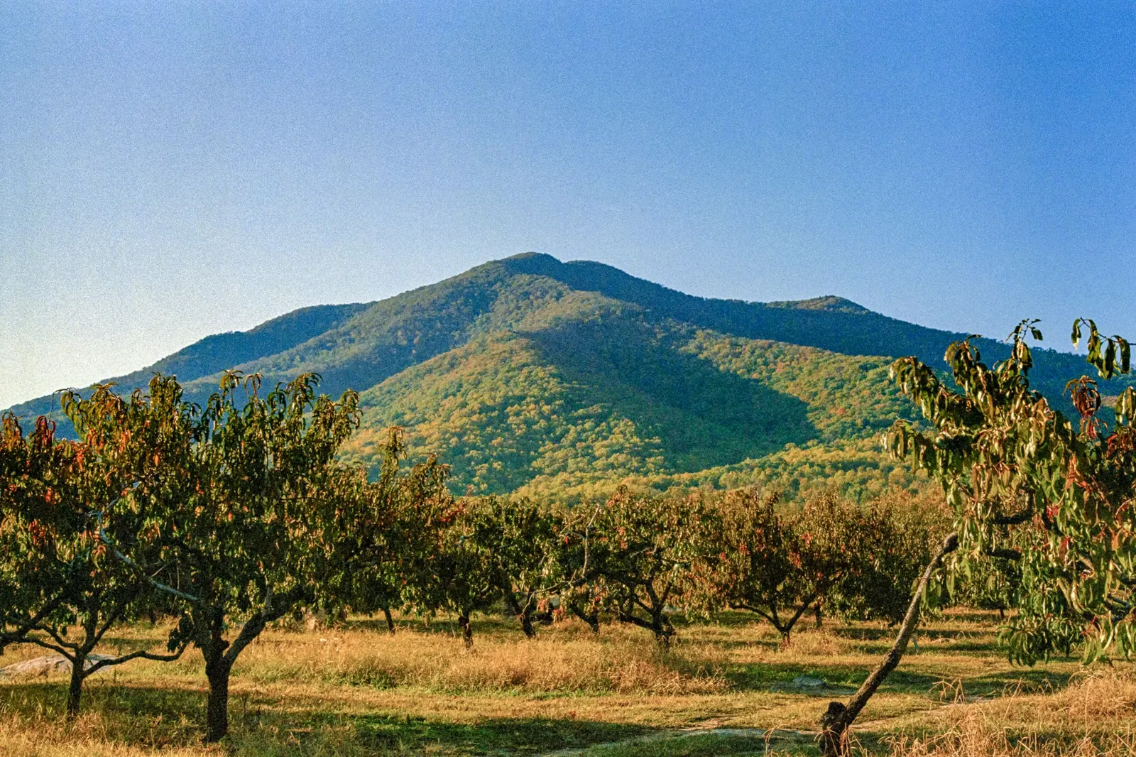 Val di Non – Trentino